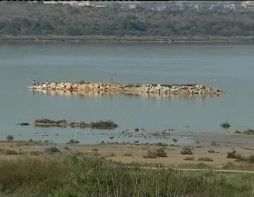 Imagen de Las Salinas De La Mata Y Torrevieja Como Uno De Los 40 Paisajes Más Relevantes