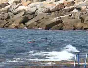 Imagen de Un numeroso grupo de jóvenes practicó Snorkel con el CIAJ en las piscinas naturales