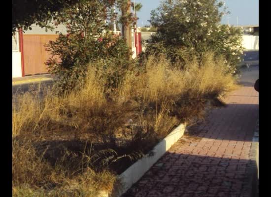 Imagen de Los Verdes exigen al PP una actuación urgente para adecentar una plaza de La Torreta II