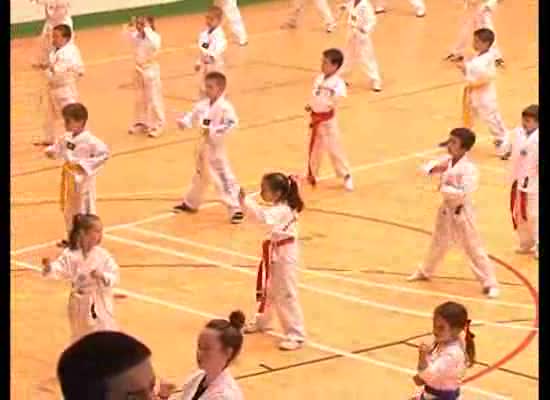 Imagen de Más de 200 niños y niñas participaron en la II Gran Exhibición de Taekwondo con Domingo Gómez