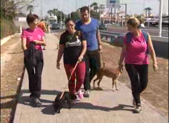 Imagen de ADIEM desarrolla un programa de terapia asistida con animales en Torrevieja