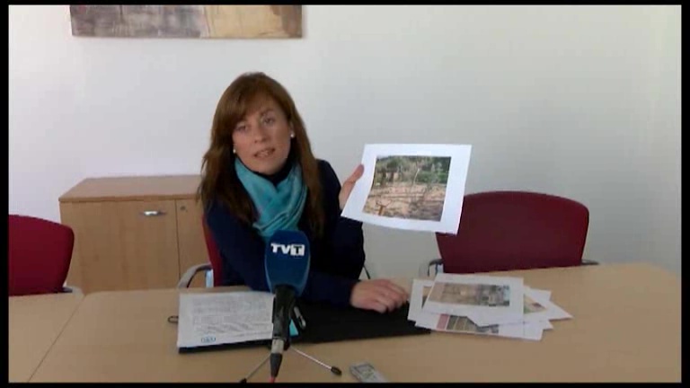 Imagen de El PP critica la falta de mantenimiento del Parque Reina de la Sal