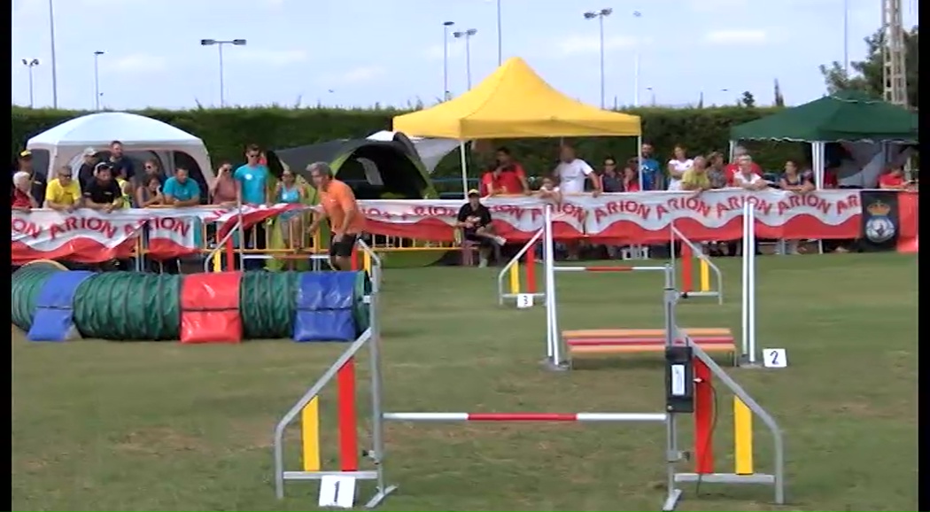 Imagen de 200 perros participan en el III Campeonato Nacional de Agility celebrado en Torrevieja