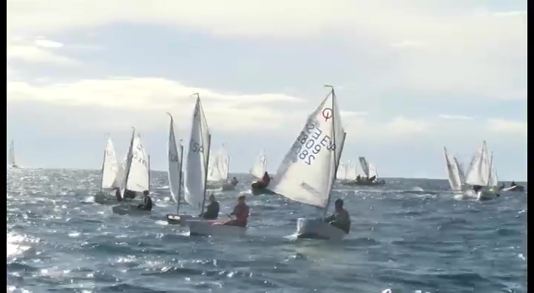 Imagen de El Real Club Náutico Torrevieja campeón Autonómico de Optimist por Equipos