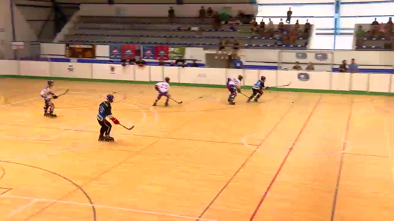 Imagen de Halcones Torrevieja, séptimo en el Campeonato de España de Hockey en Línea
