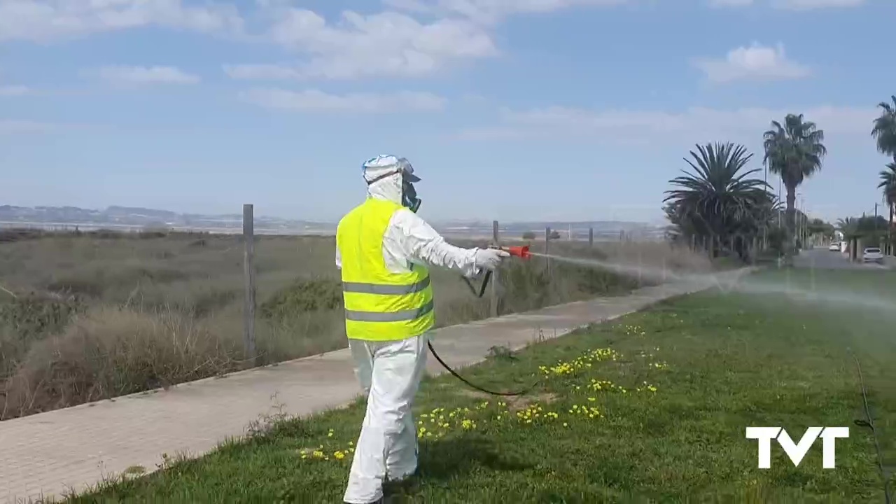 Imagen de Sanidad advierte que aguas estancadas en zonas privadas no ayudan a acabar con los mosquitos