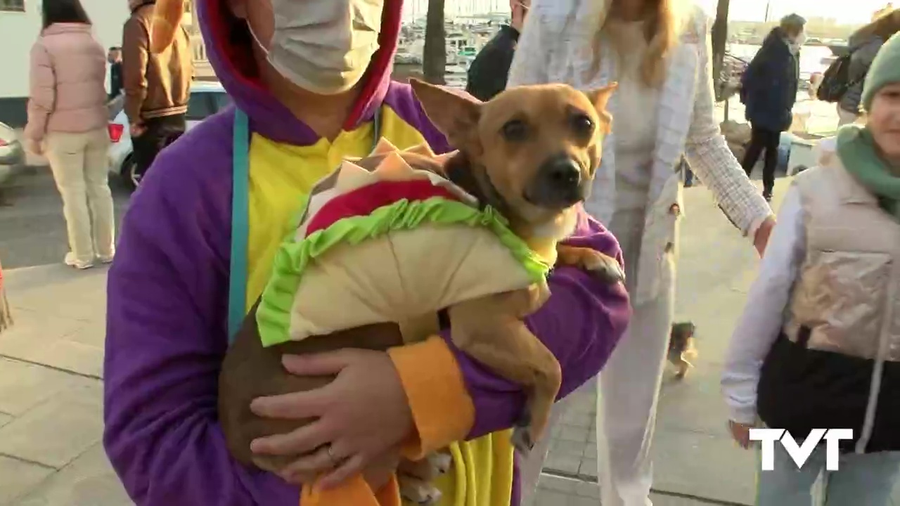 Imagen de Los animales de compañía también se disfrazan en Carnaval