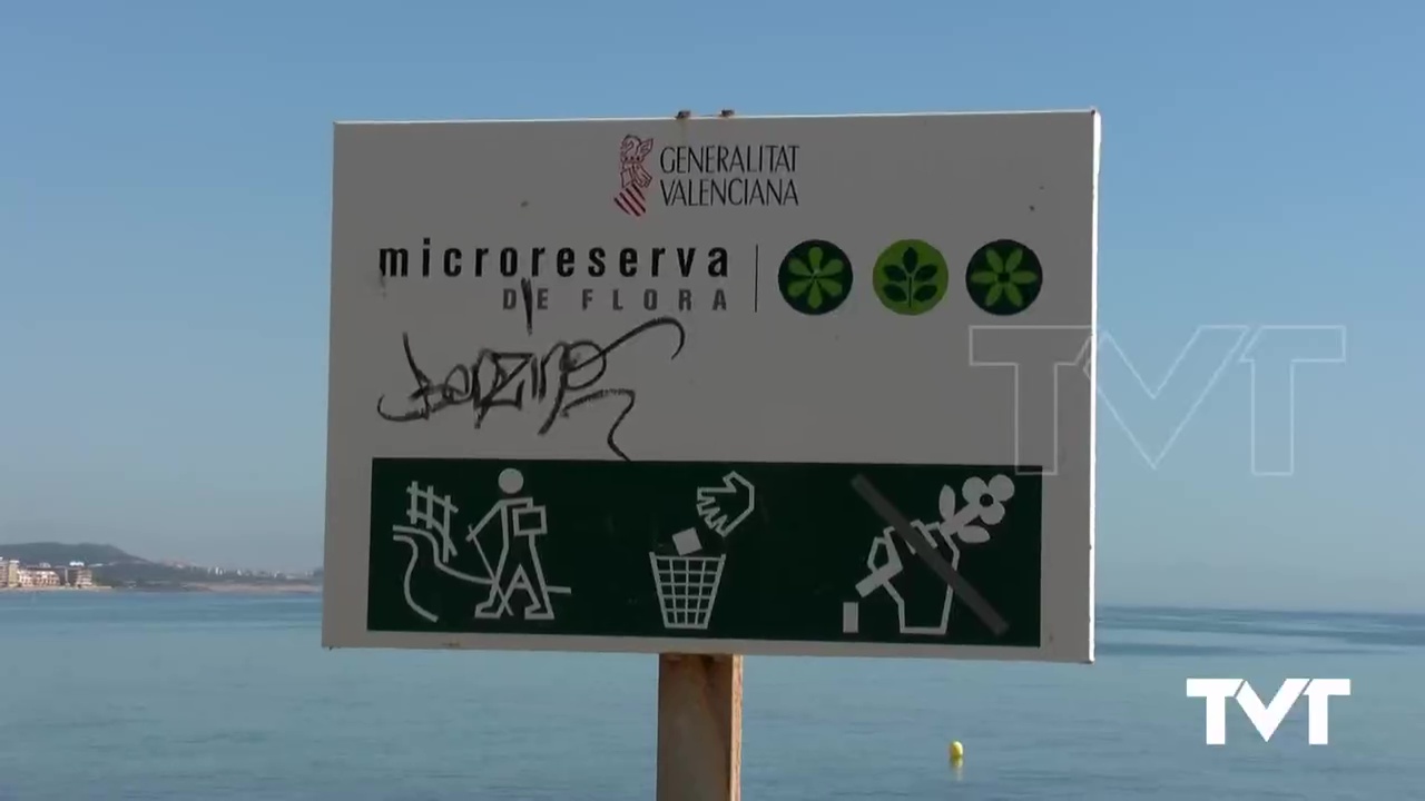 Imagen de Transición Ecológica actuará contra la vegetación invasora en la zona de Cabo Cervera