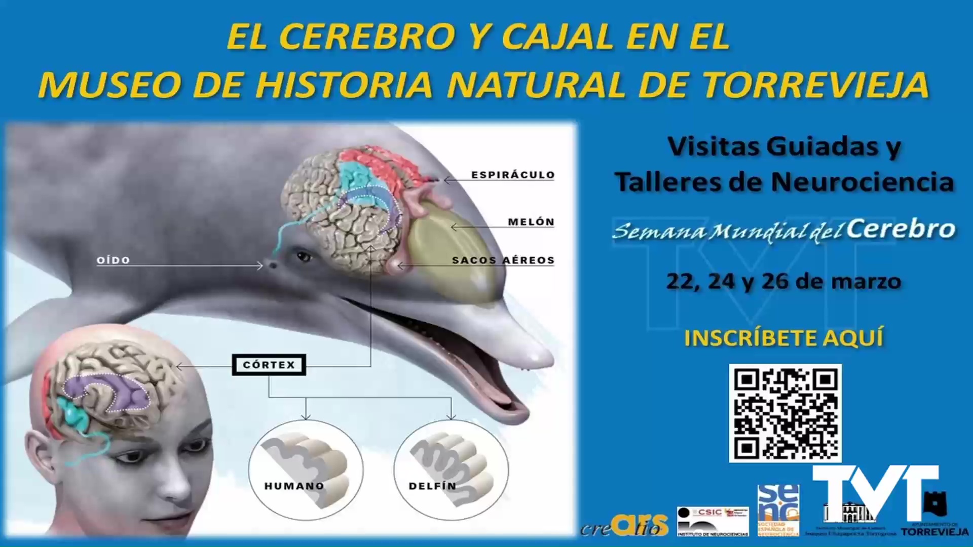 Imagen de Ars Creatio organiza visitas guiadas y talleres de Neurociencia