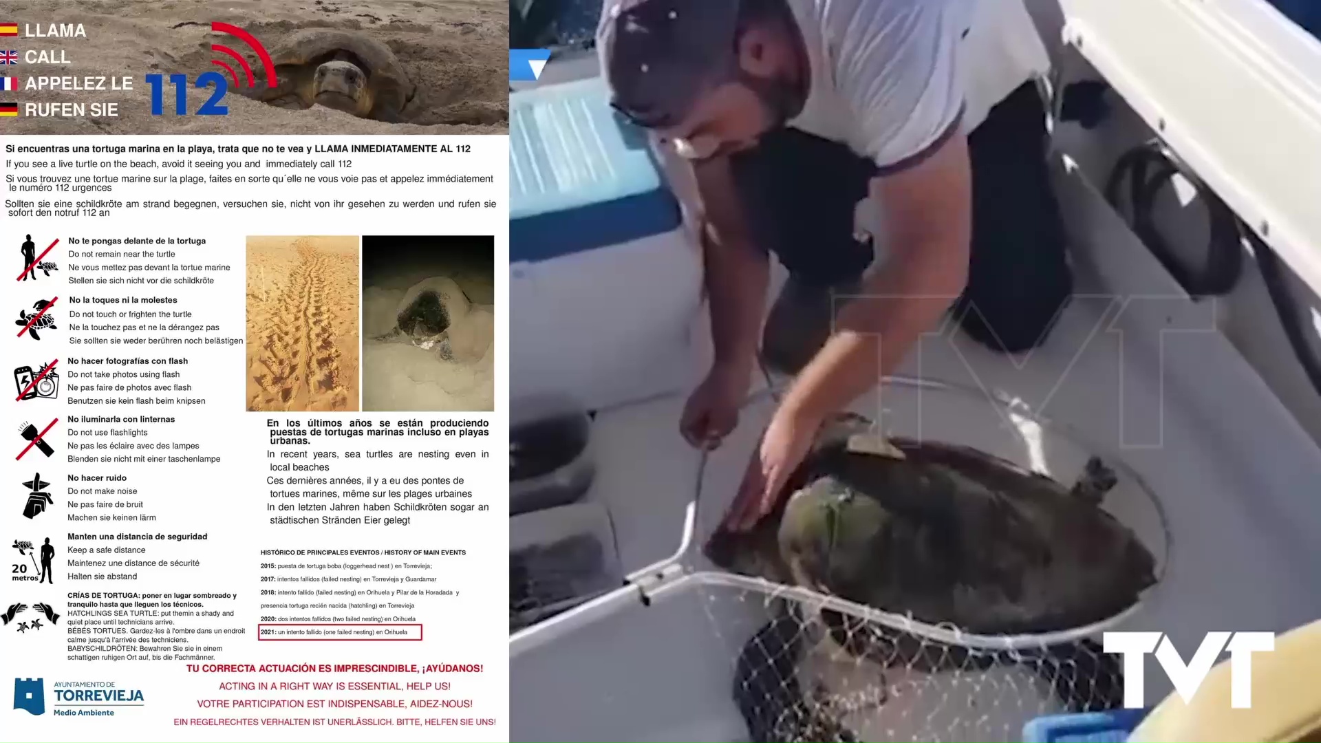 Imagen de Atención: Estamos en plena temporada de nidificación de tortugas marinas