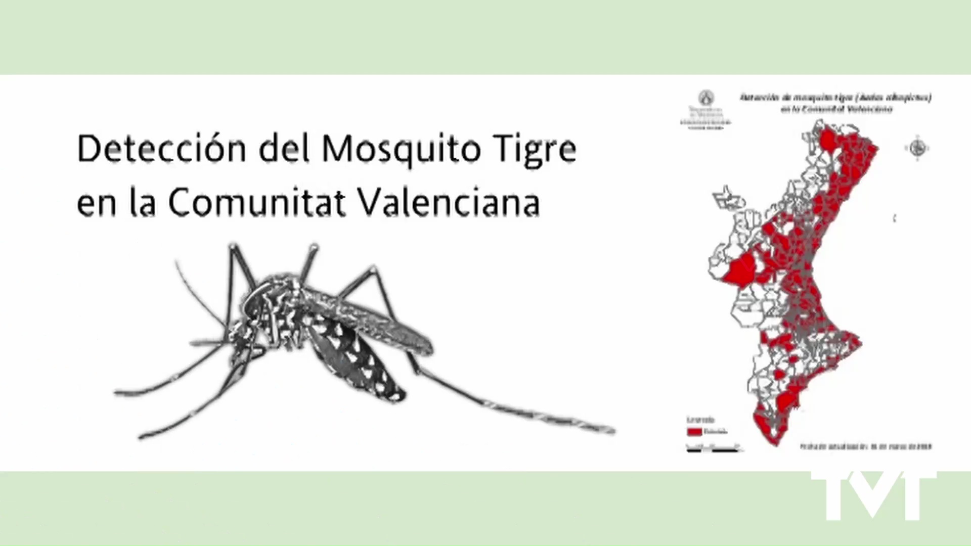 Imagen de Sanidad concede ayudas a 413 municipios para adoptar medidas contra el mosquito tigre