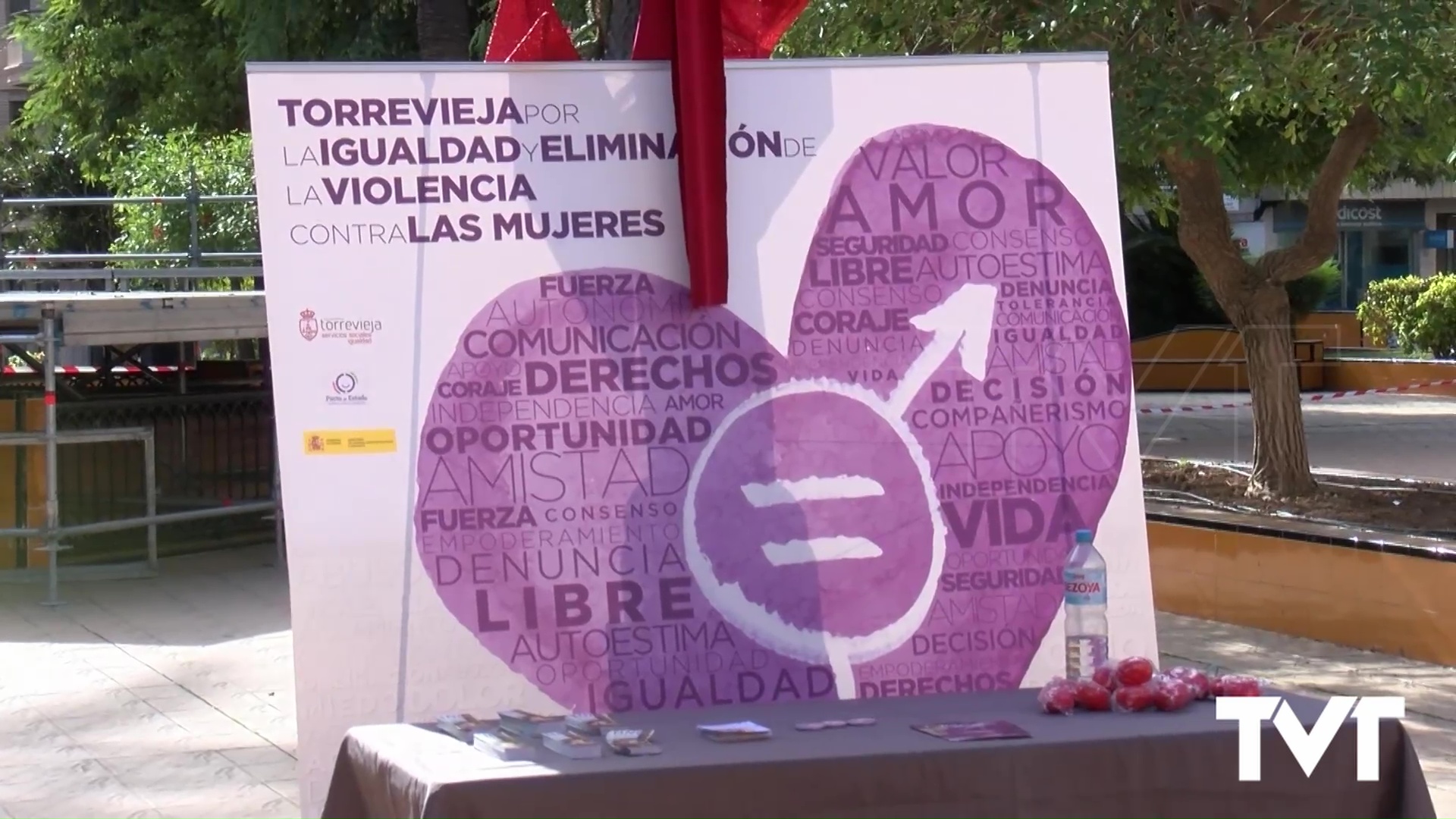 Imagen de Día Internacional de la Eliminación de la Violencia contra la Mujer