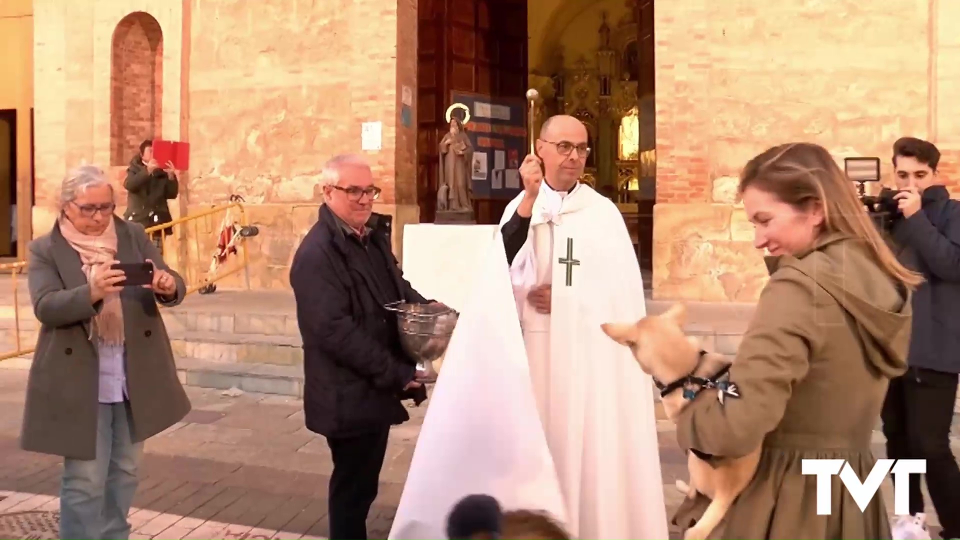 Imagen de Torrevieja celebrará el 17 de enero San Antón con la ya tradicional bendición de animales 