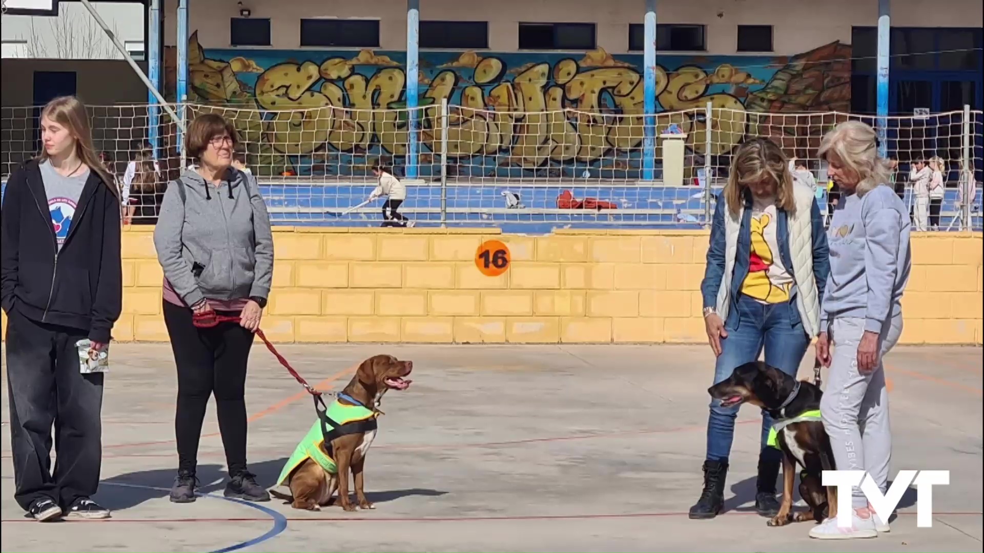 Imagen de Voluntarios del Albergue municipal de animales conciencian en los colegios sobre la importancia del bienestar animal 