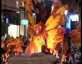 Imagen de Desfile Nocturno De Carnaval 2008