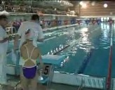 Imagen de Torrevieja Acoge La Competición Interescuelas De Natación