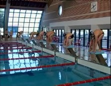 Imagen de Mas De 300 Nadadores Participaron En El Control Federativo Realizado En La Piscina Municipal