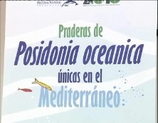 Imagen de Presentada Exposición Sobre La Posidonia Oceánica Dirigida A La Comunidad Educativa