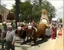 Imagen de Mas De 1.000 Personas Participaron En La Romeria De La Virgen Del Rocio En Ferris