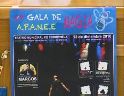 Imagen de Torrevieja Acoge La Iv Gala De La Magia A Beneficio De Apanee