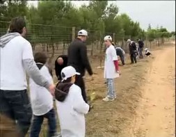 Imagen de Alumnos De Torrevieja Celebran Este Sábado El Día Mundial Del Arbol