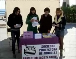 Imagen de La Sociedad Protectora De Animales Nuhum Busca Hogar A 25 Perros De La Perrera Municipal