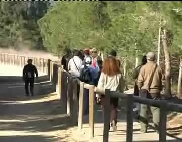 Imagen de Guía De Buenas Prácticas Del Parque Natural De Las Lagunas De La Mata Y Torrevieja