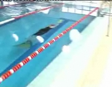 Imagen de Torrevieja acogerá el campeonato autonómico de natación con aletas