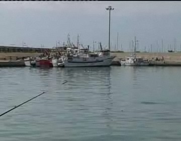 Imagen de Detenidas 13 personas implicadas en robos de embarcaciones en el puerto de Torrevieja