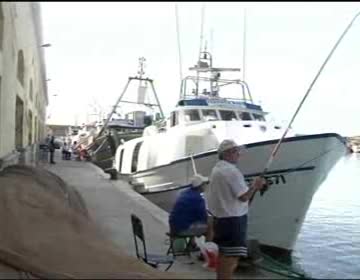 Imagen de La Cofradía de pescadores de Torrevieja obtiene el permiso para instalar cámaras en el Puerto