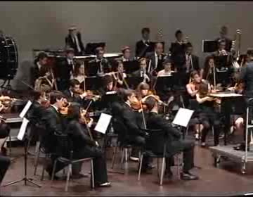 Imagen de La Orquesta de Jóvenes de la Provincia de Alicante ofreció un concierto en el Teatro de Torrevieja