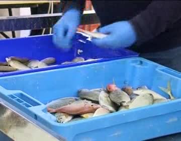 Imagen de El RCNT realizó dos donaciones relacionadas con el pescado capturado en el 5º Campeonato del Mundo