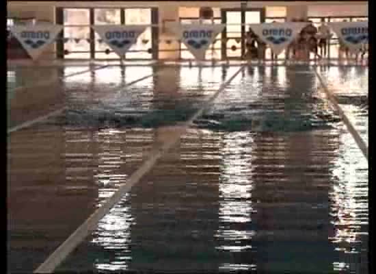 Imagen de Gran actuación del club torrevejense Imas en el Autonómico de natación con aletas
