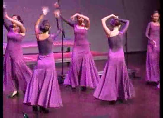 Imagen de El VIII Encuentro Flamenco fue dedicado a beneficio de Cáritas y AECC de Torrevieja