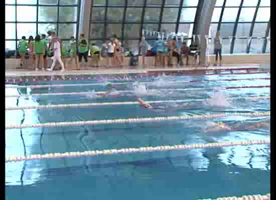 Imagen de La 9ª Liga Autonómica de Promesas reunió a 210 nadadores en la piscina del Palacio de los Deporte
