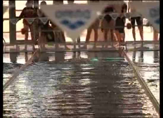Imagen de Torrevieja acoge el primer control federativo de natación con aletas