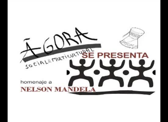 Imagen de Una nueva asociación se presenta en Torrevieja: Agora social y Multicultural