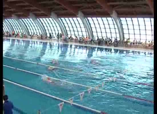 Imagen de Un total de 160 nadadores participaron en el Open Comunidad Valenciana de Natación Adaptada