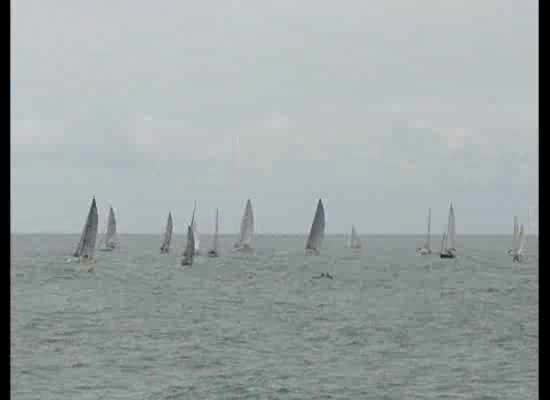 Imagen de Más de 40 embarcaciones compiten en el V Trofeo-Regata Club Náutico Marina Internacional
