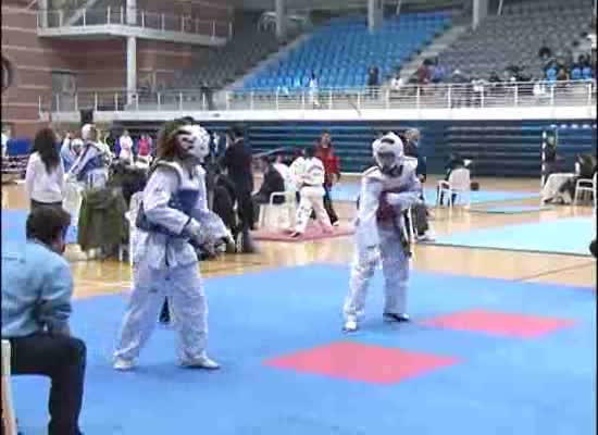 Imagen de El taekwondo reina durante el fin de semana en el Palacio de los Deportes Infanta Cristina