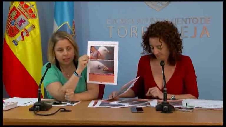 Imagen de 27 ejemplares han sido rescatados y recuperados en 2015 en Torrevieja