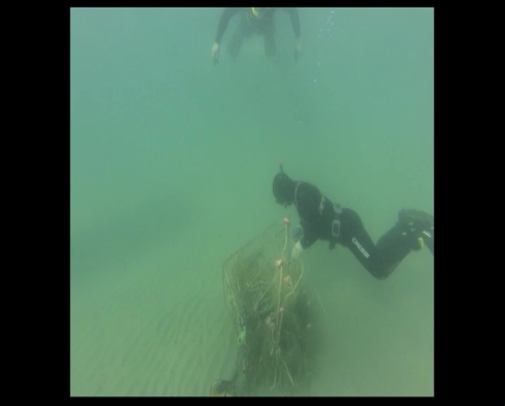 Imagen de Limpieza de fondo marino en la Playa de Los Náufragos