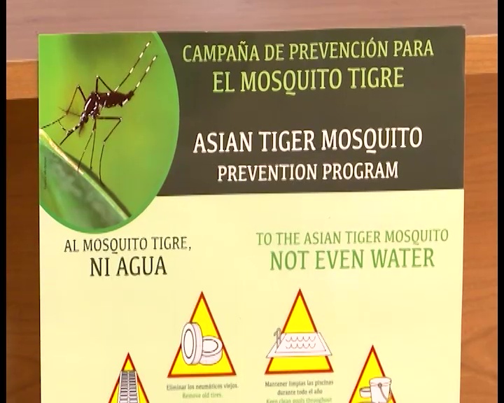 Imagen de La concejalía de control de plagas inicia campaña de prevención para el mosquito tigre