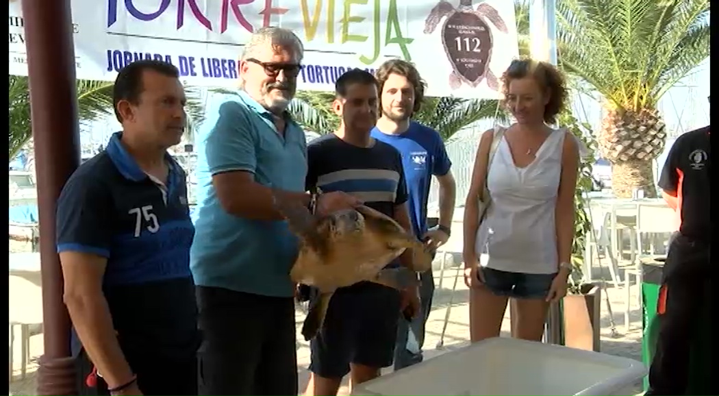 Imagen de Una tortuga boba es devuelta al mar en Torrevieja tras ser recuperada y operada por un anzuelo