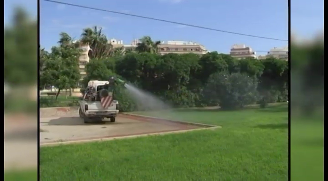 Imagen de Sueña Torrevieja insta al Ayuntamiento a tomar medidas contra la plaga de mosquitos.