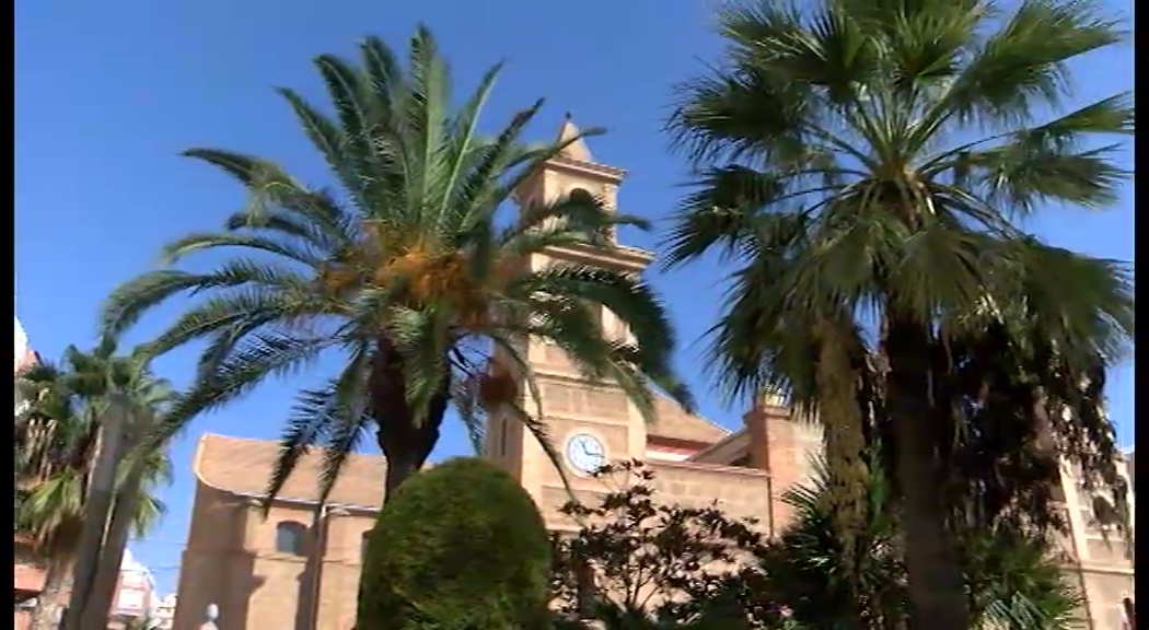 Imagen de En torno a una docena de palmeras han desaparecido ya de la Plaza de la Constitución
