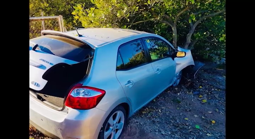 Imagen de Una conductora choca frontalmente contra un árbol y queda atrapada en el interior de su vehículo
