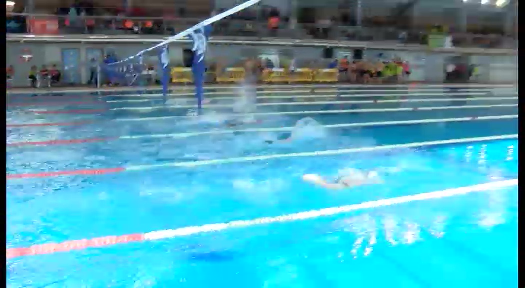 Imagen de Torrevieja se convierte en sede de la natación adaptada autonómica