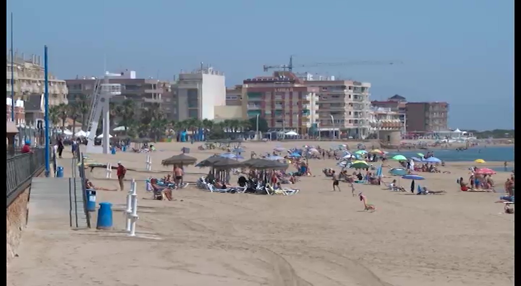 Imagen de La presencia de Carabela Portuguesa obliga al cierre de un tramo de playa en La Mata