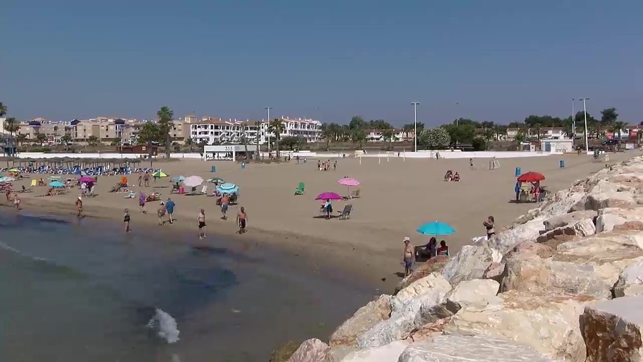Imagen de Cuatro playas de Torrevieja lucirán la Q de calidad turística